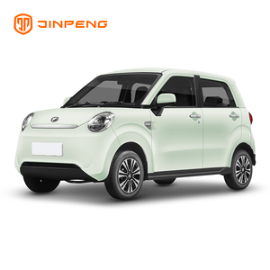 Car Trydan Cyflymder Isel RG-R