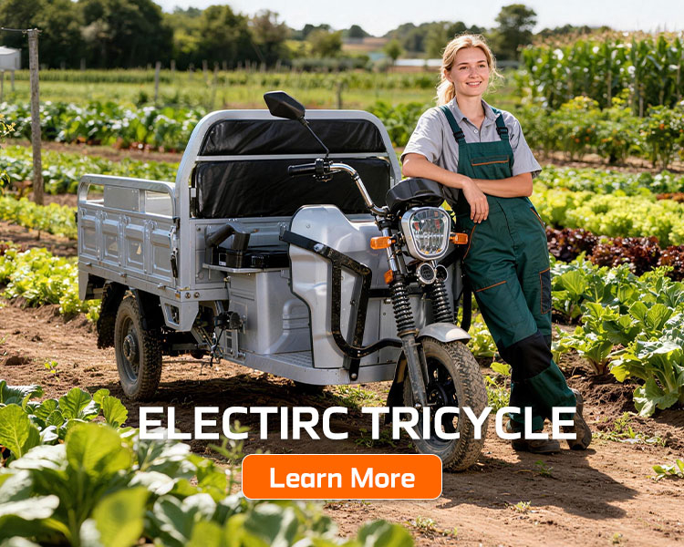 သုံးဘီးဆိုင်ကယ် ကုန်တင်